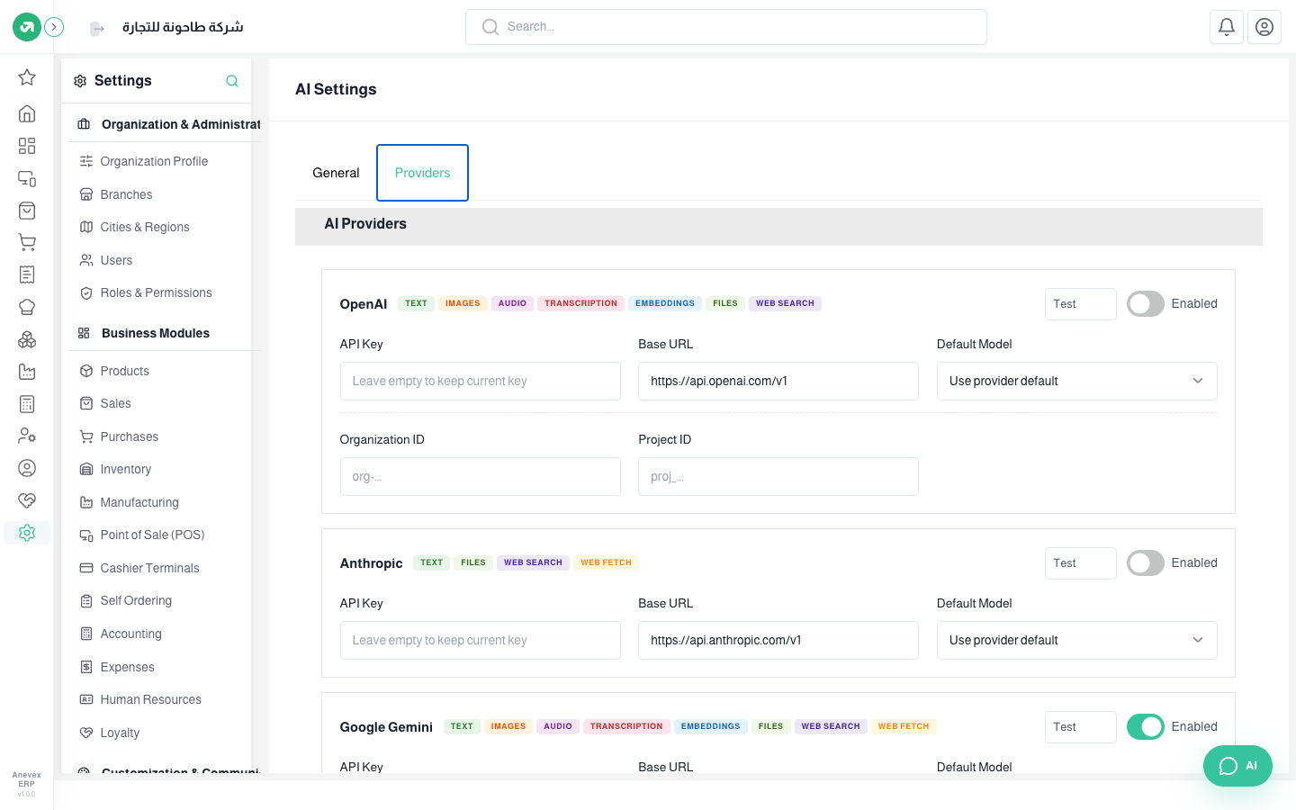 Providers tab: each provider has a key, URL, default model and what it supports (text, images, files, search…)
